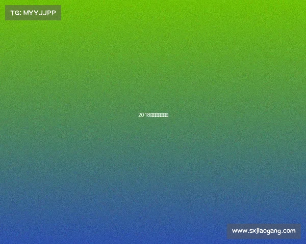 2018年全国童模冠军